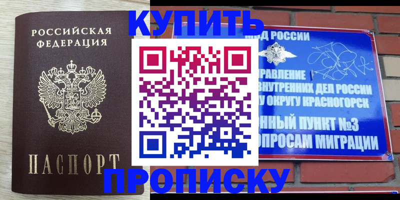 прописка гарантия в Рузе
